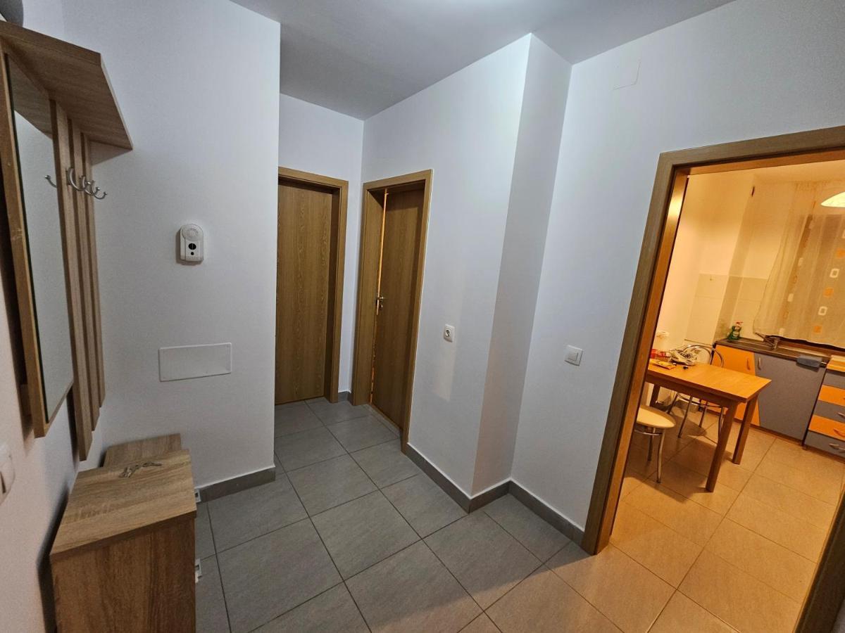 Elena'S Studio Brasov Coresi Braşov Exterior foto