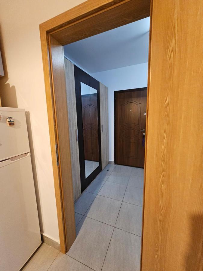 Elena'S Studio Brasov Coresi Braşov Exterior foto