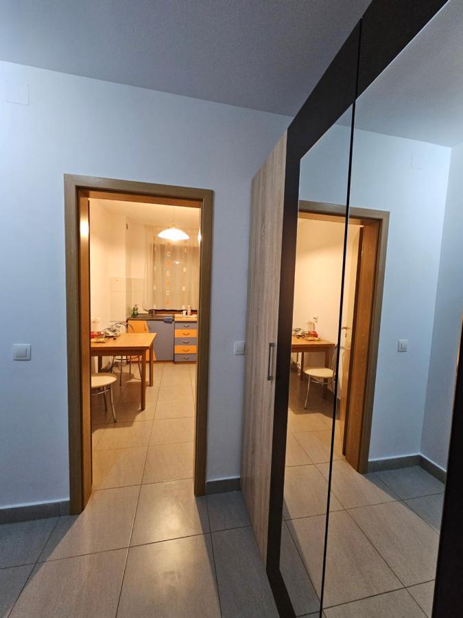 Elena'S Studio Brasov Coresi Braşov Exterior foto